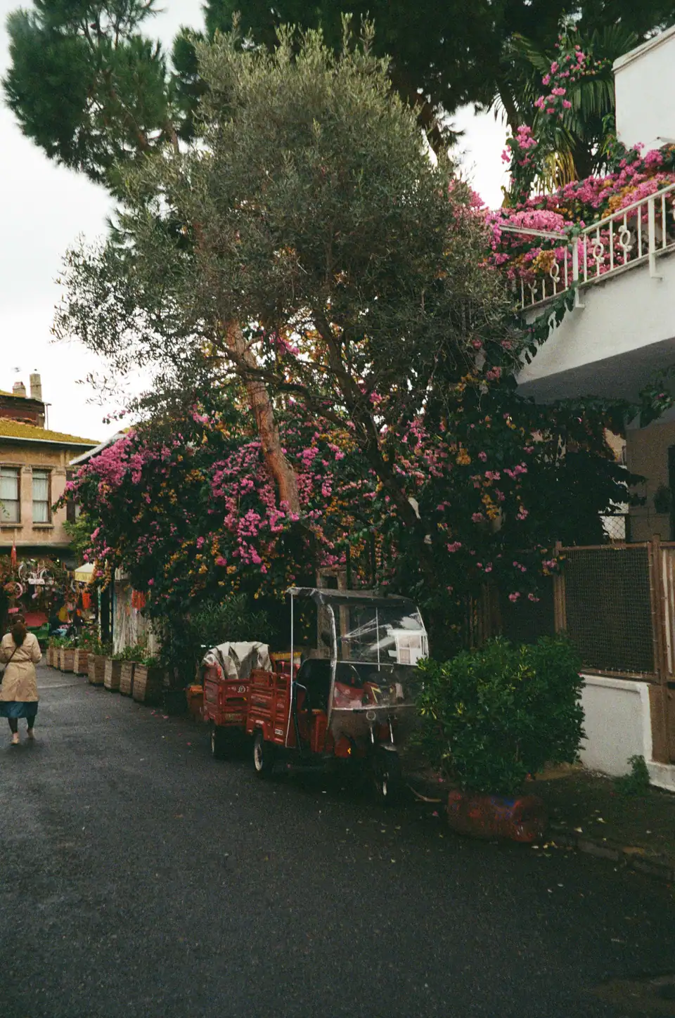 Turkey, photograph 24
