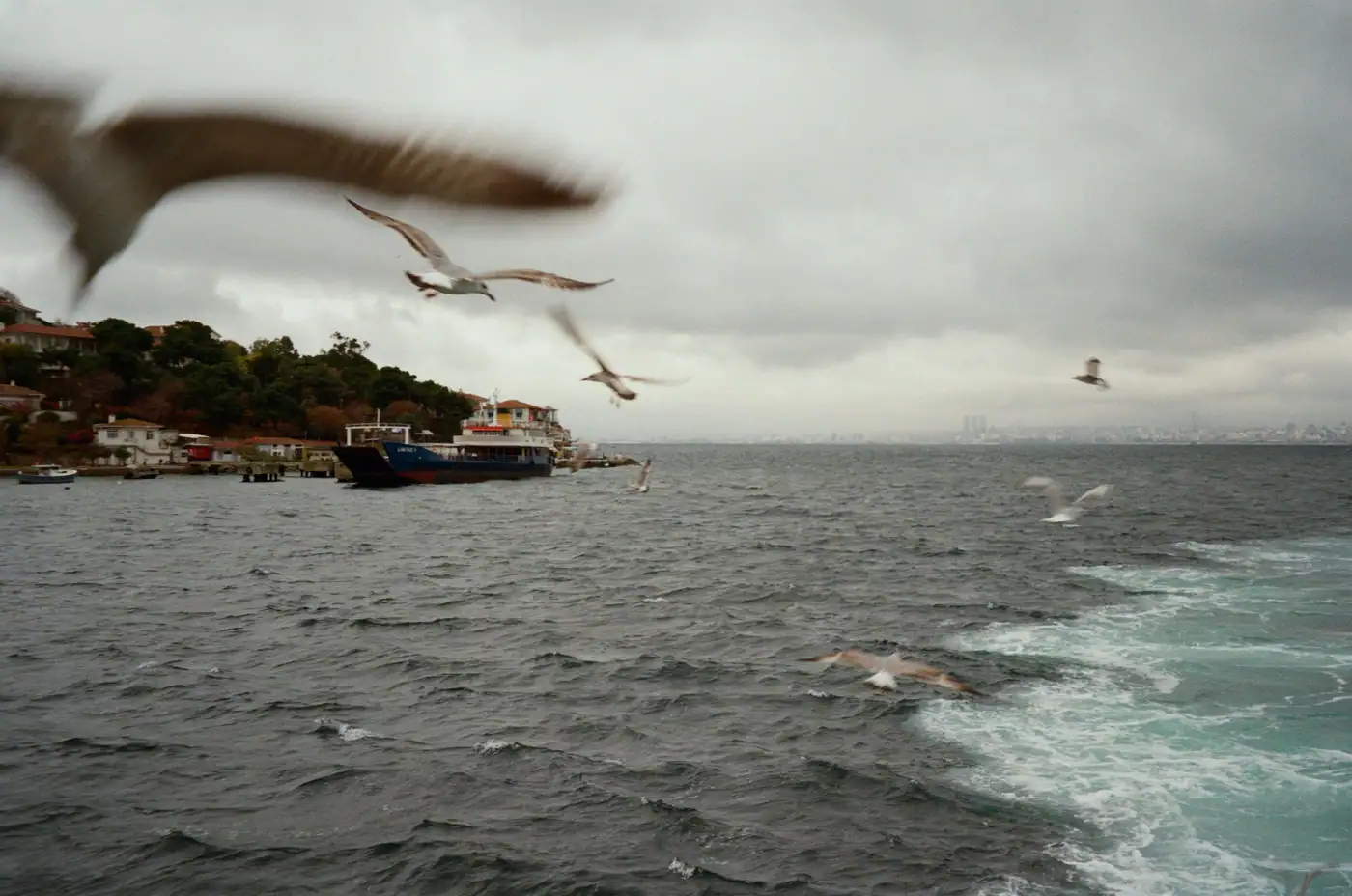 Turkey, photograph 1